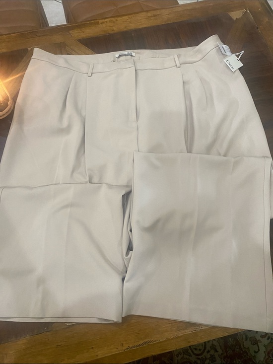 Dex Pants - Women Plus Size Dress Pants; Classic Tailored Trousers in Light Beige